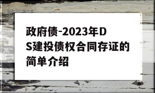 政府债-2023年DS建投债权合同存证的简单介绍