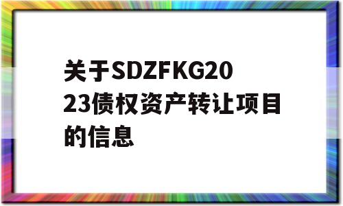 关于SDZFKG2023债权资产转让项目的信息