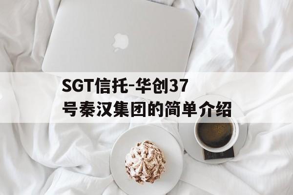 SGT信托-华创37号秦汉集团的简单介绍