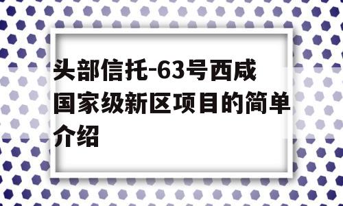 头部信托-63号西咸国家级新区项目的简单介绍