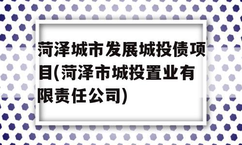 菏泽城市发展城投债项目(菏泽市城投置业有限责任公司)