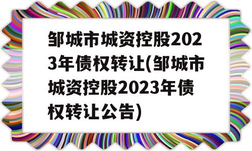 邹城市城资控股2023年债权转让(邹城市城资控股2023年债权转让公告)