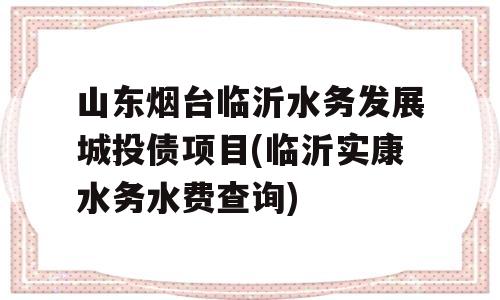 山东烟台临沂水务发展城投债项目(临沂实康水务水费查询)