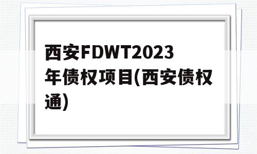 西安FDWT2023年债权项目(西安债权通)