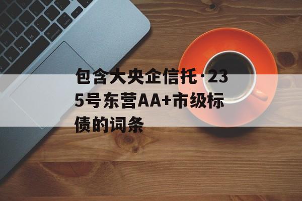 包含大央企信托·235号东营AA+市级标债的词条