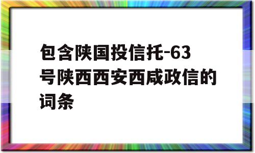 包含陕国投信托-63号陕西西安西咸政信的词条