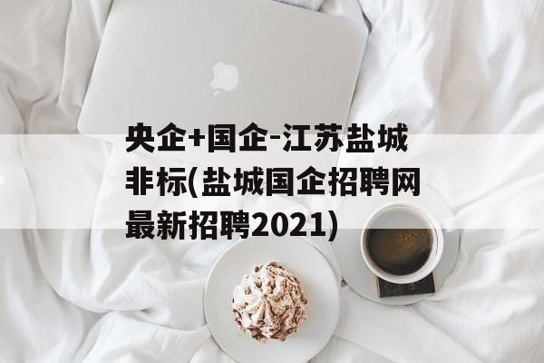 央企+国企-江苏盐城非标(盐城国企招聘网最新招聘2021)