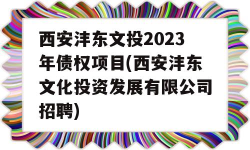 西安沣东文投2023年债权项目(西安沣东文化投资发展有限公司招聘)