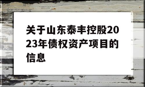 关于山东泰丰控股2023年债权资产项目的信息