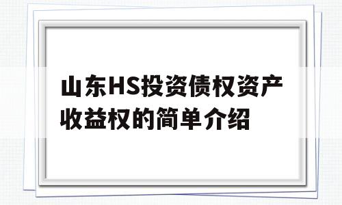 山东HS投资债权资产收益权的简单介绍