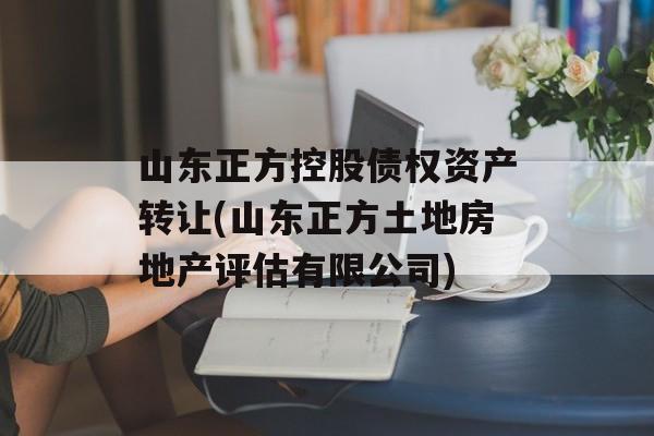 山东正方控股债权资产转让(山东正方土地房地产评估有限公司)