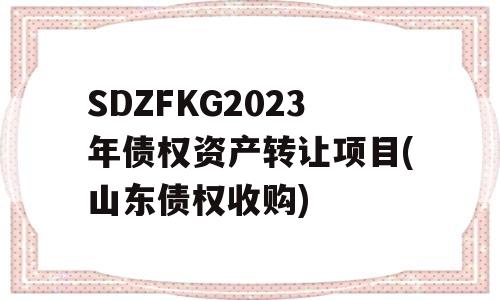 SDZFKG2023年债权资产转让项目(山东债权收购)