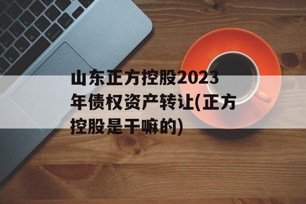 山东正方控股2023年债权资产转让(正方控股是干嘛的)