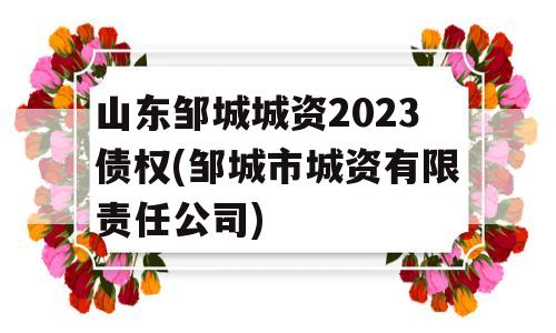 山东邹城城资2023债权(邹城市城资有限责任公司)