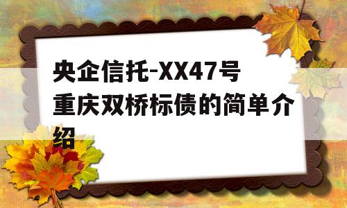 央企信托-XX47号重庆双桥标债的简单介绍