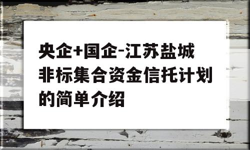 央企+国企-江苏盐城非标集合资金信托计划的简单介绍