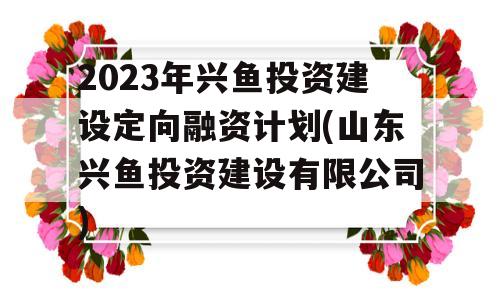 2023年兴鱼投资建设定向融资计划(山东兴鱼投资建设有限公司)