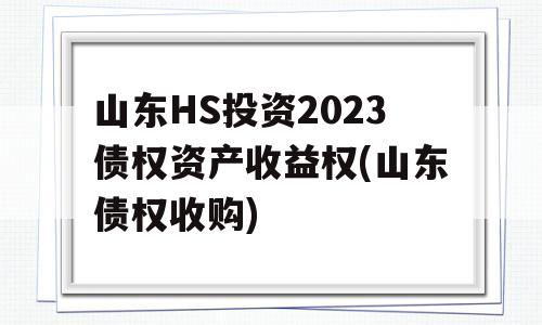 山东HS投资2023债权资产收益权(山东债权收购)