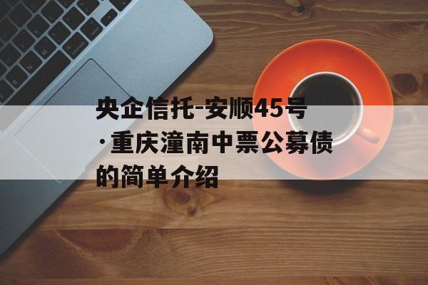 央企信托-安顺45号·重庆潼南中票公募债的简单介绍