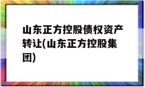 山东正方控股债权资产转让(山东正方控股集团)