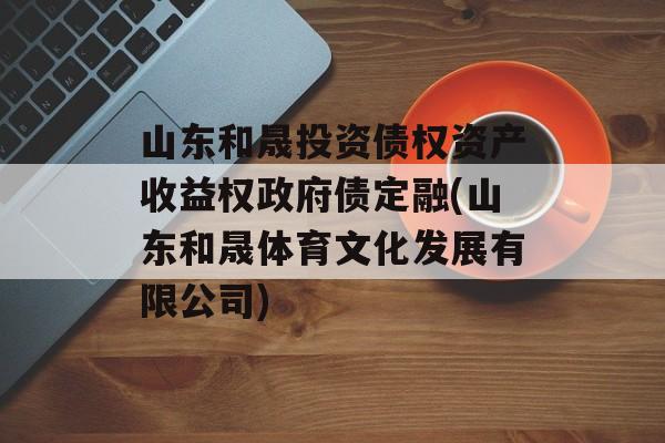 山东和晟投资债权资产收益权政府债定融(山东和晟体育文化发展有限公司)