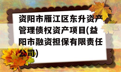 资阳市雁江区东升资产管理债权资产项目(益阳市融资担保有限责任公司)