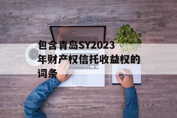 包含青岛SY2023年财产权信托收益权的词条