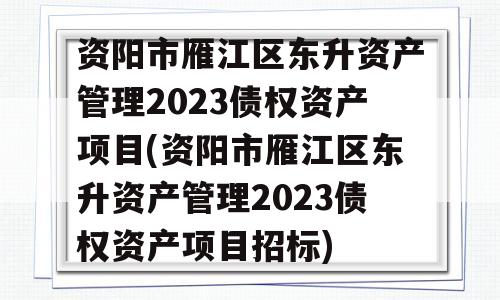 资阳市雁江区东升资产管理2023债权资产项目(资阳市雁江区东升资产管理2023债权资产项目招标)