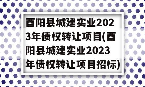 酉阳县城建实业2023年债权转让项目(酉阳县城建实业2023年债权转让项目招标)