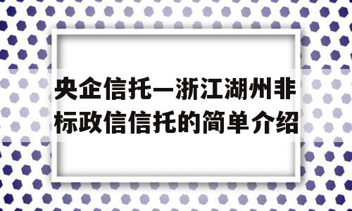 央企信托—浙江湖州非标政信信托的简单介绍