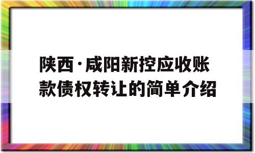 陕西·咸阳新控应收账款债权转让的简单介绍