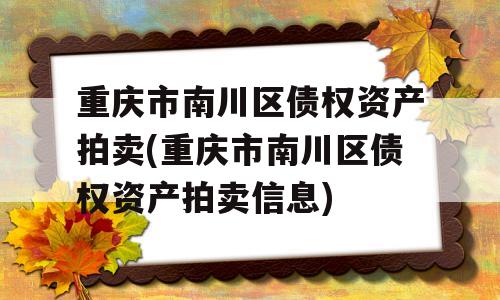 重庆市南川区债权资产拍卖(重庆市南川区债权资产拍卖信息)