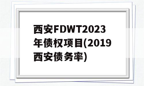 西安FDWT2023年债权项目(2019西安债务率)