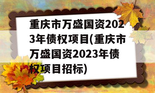 重庆市万盛国资2023年债权项目(重庆市万盛国资2023年债权项目招标)