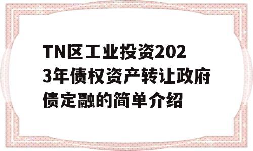 TN区工业投资2023年债权资产转让政府债定融的简单介绍