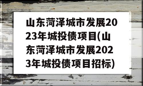 山东菏泽城市发展2023年城投债项目(山东菏泽城市发展2023年城投债项目招标)