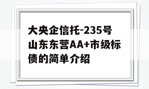 大央企信托-235号山东东营AA+市级标债的简单介绍