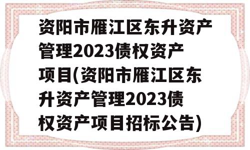 资阳市雁江区东升资产管理2023债权资产项目(资阳市雁江区东升资产管理2023债权资产项目招标公告)