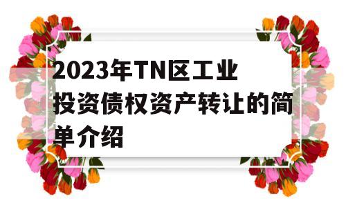 2023年TN区工业投资债权资产转让的简单介绍