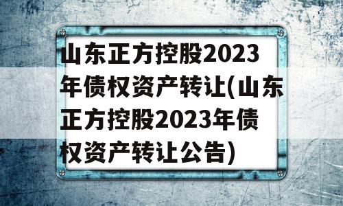 山东正方控股2023年债权资产转让(山东正方控股2023年债权资产转让公告)