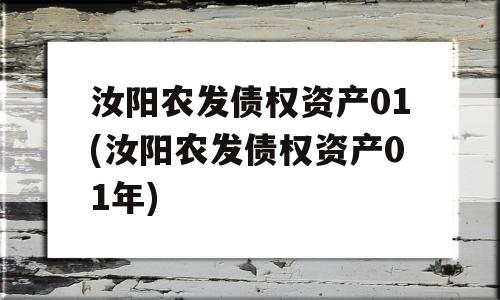 汝阳农发债权资产01(汝阳农发债权资产01年)