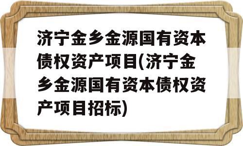 济宁金乡金源国有资本债权资产项目(济宁金乡金源国有资本债权资产项目招标)