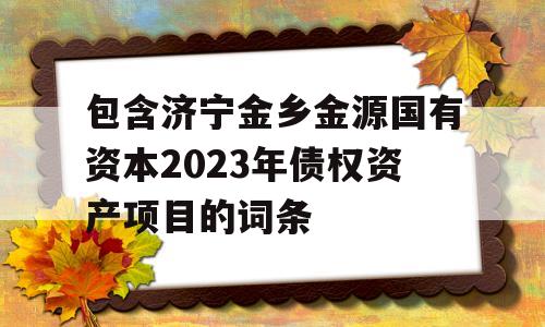 包含济宁金乡金源国有资本2023年债权资产项目的词条