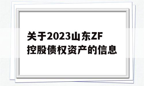 关于2023山东ZF控股债权资产的信息