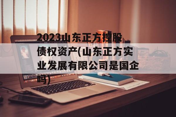 2023山东正方控股债权资产(山东正方实业发展有限公司是国企吗)