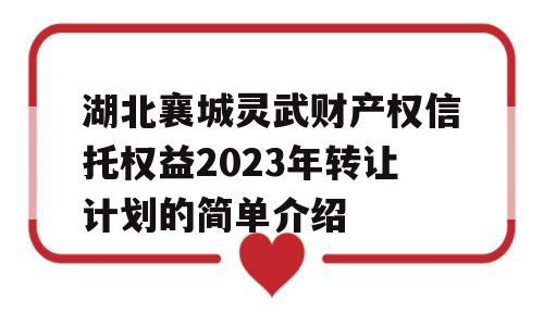 湖北襄城灵武财产权信托权益2023年转让计划的简单介绍