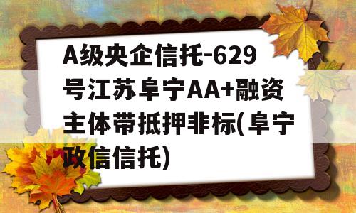 A级央企信托-629号江苏阜宁AA+融资主体带抵押非标(阜宁政信信托)