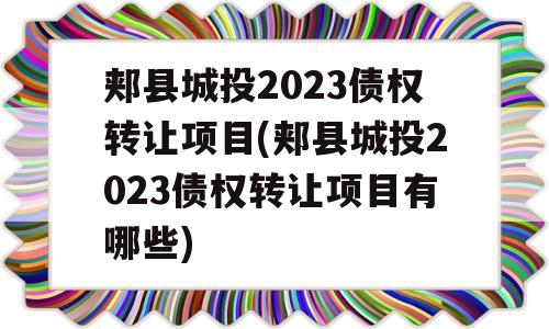 郏县城投2023债权转让项目(郏县城投2023债权转让项目有哪些)