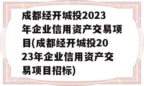 成都经开城投2023年企业信用资产交易项目(成都经开城投2023年企业信用资产交易项目招标)