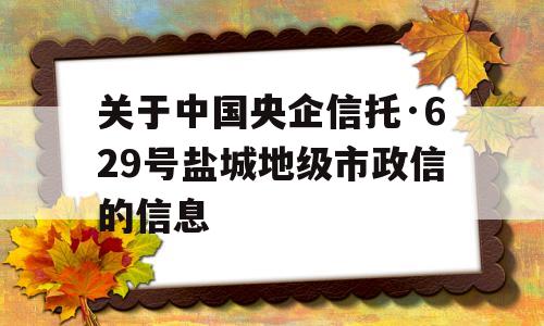 关于中国央企信托·629号盐城地级市政信的信息